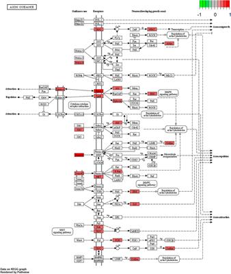 Immune-Related Molecular Profiling of Thymoma With Myasthenia Gravis